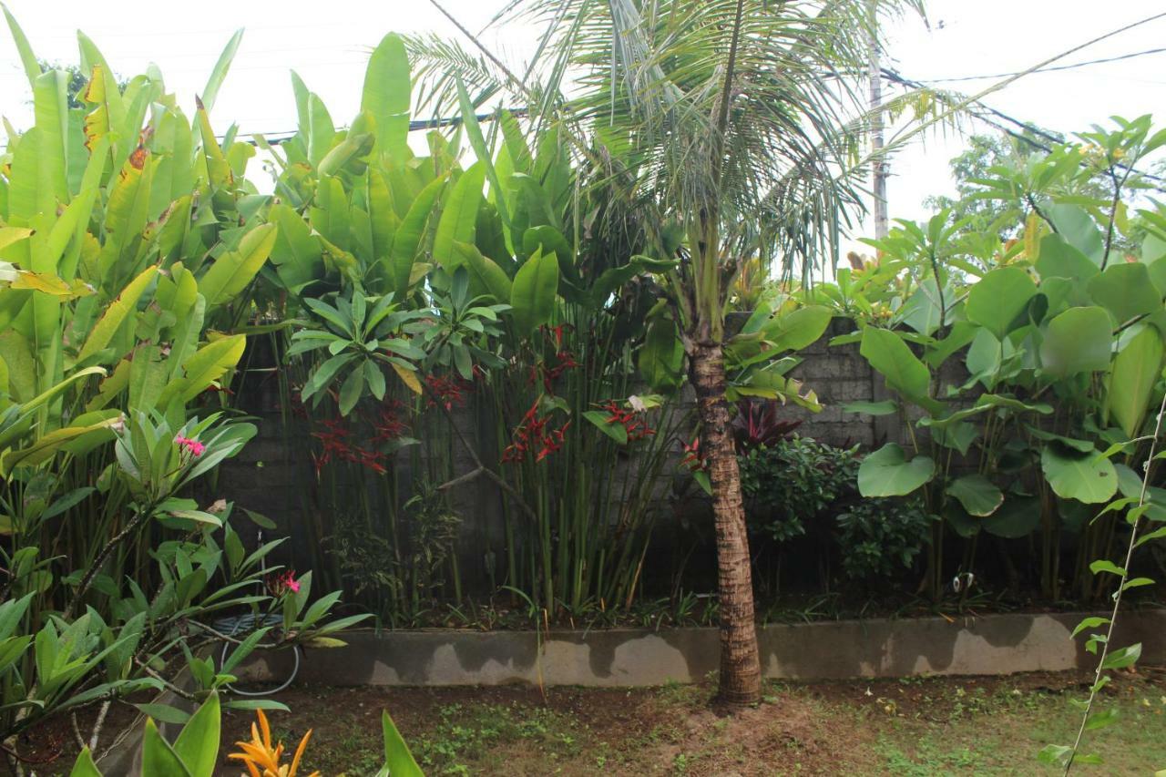 Paranyogan Homestay 2 Jimbaran Exteriör bild